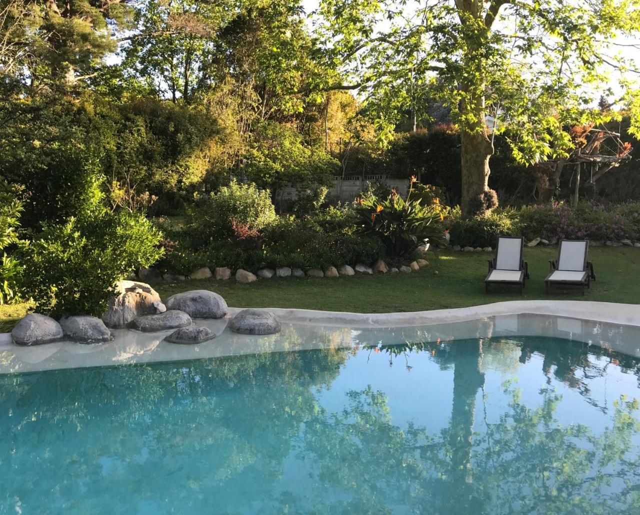 Beluga Of Constantia Guest House Cidade Do Cabo Exterior foto