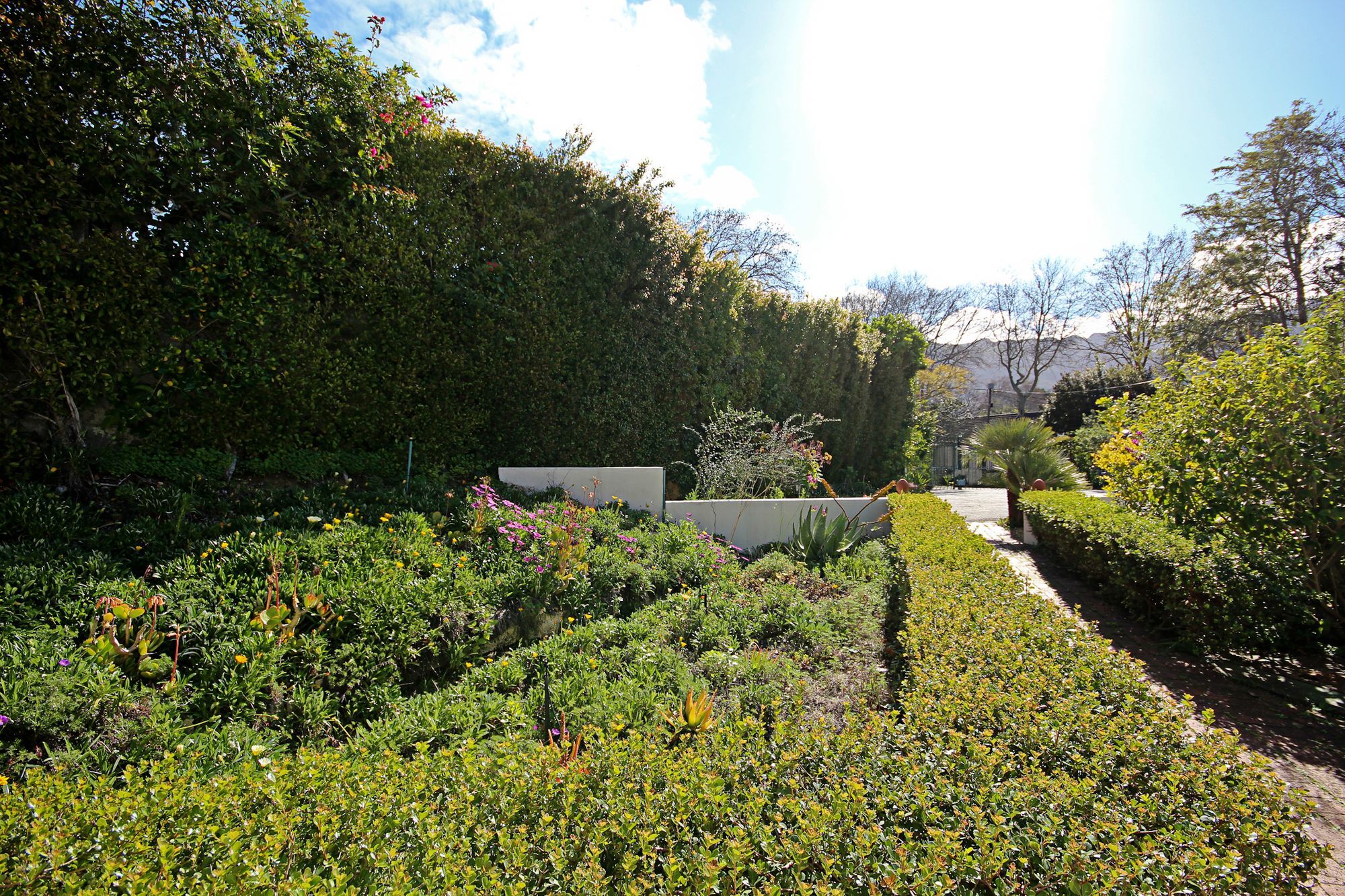 Beluga Of Constantia Guest House Cidade Do Cabo Exterior foto