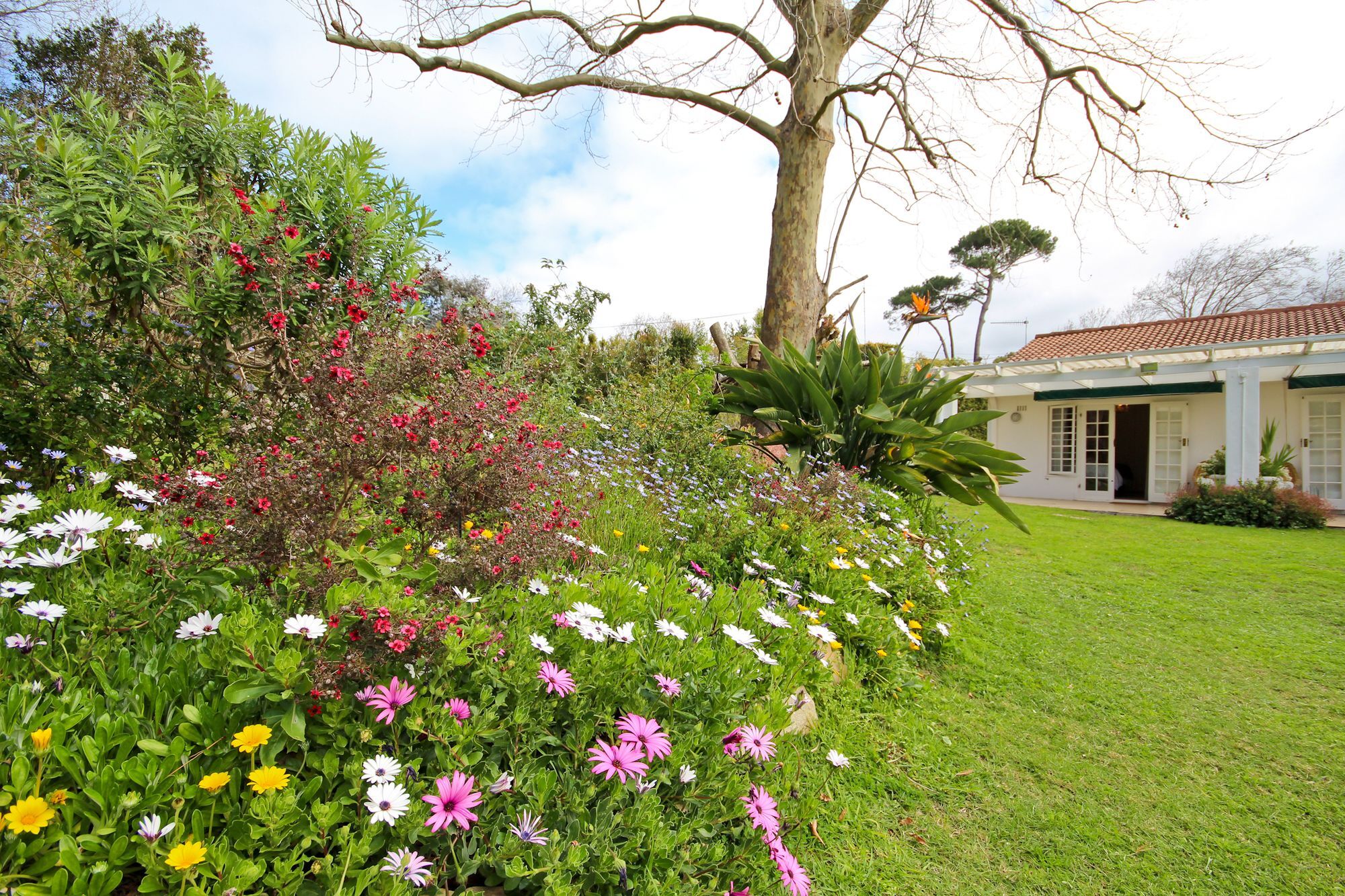 Beluga Of Constantia Guest House Cidade Do Cabo Exterior foto