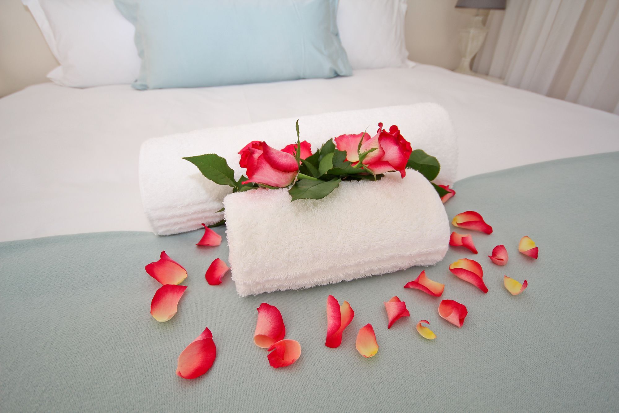 Beluga Of Constantia Guest House Cidade Do Cabo Exterior foto